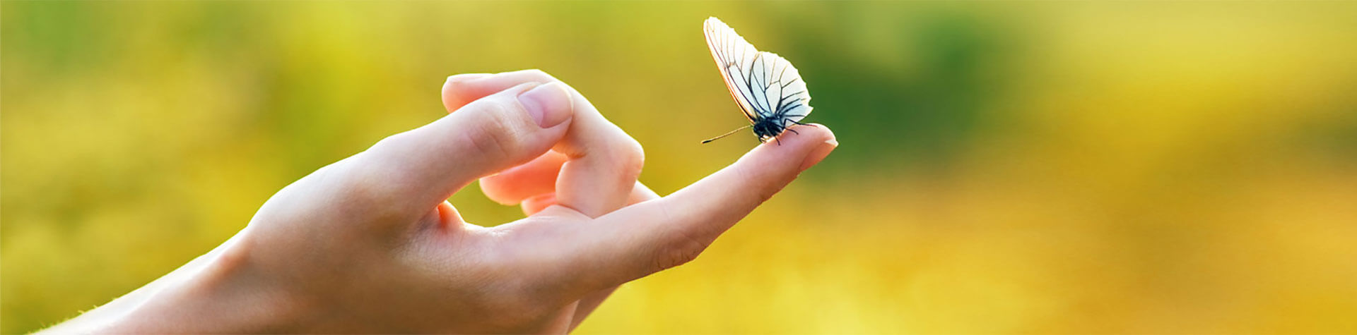 The Fidelity Investment Group-Contact us