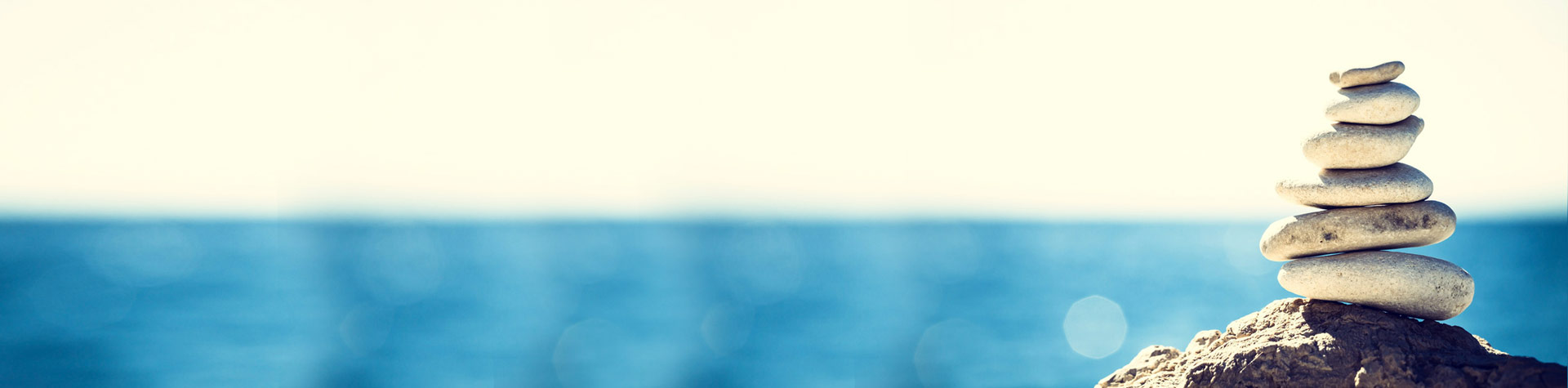 About The Fidelity Investment Group