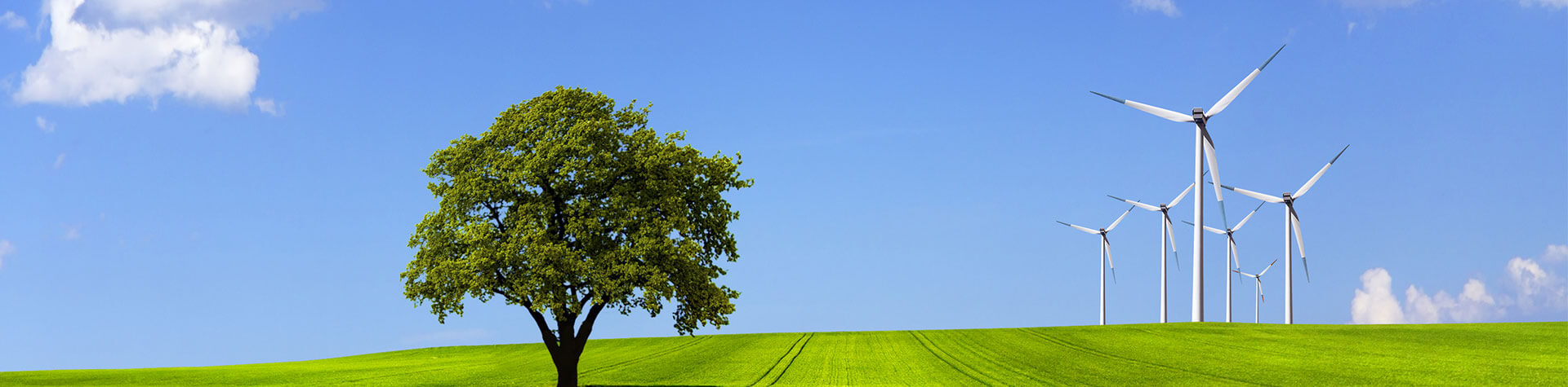 The Fidelity Investment Group-Renewable Energy