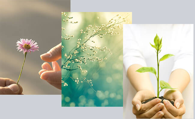 Corporate Social Responisibility