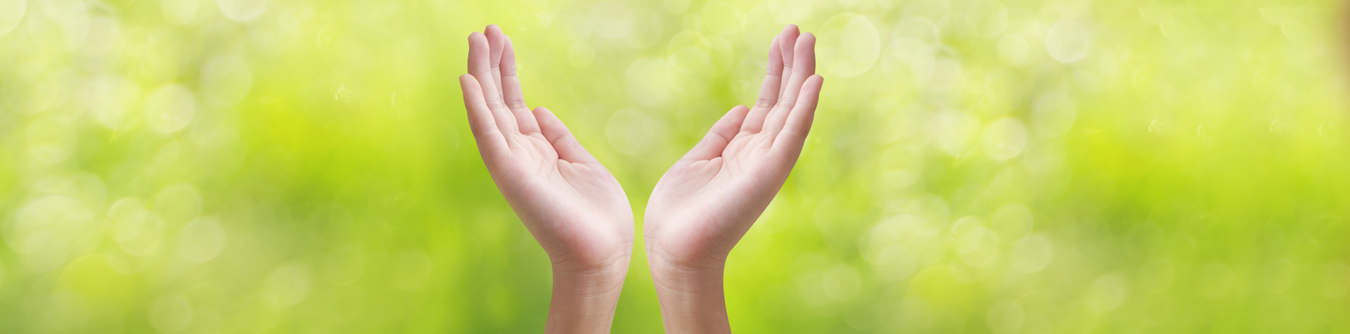 The Fidelity Investment Group-Responsibility